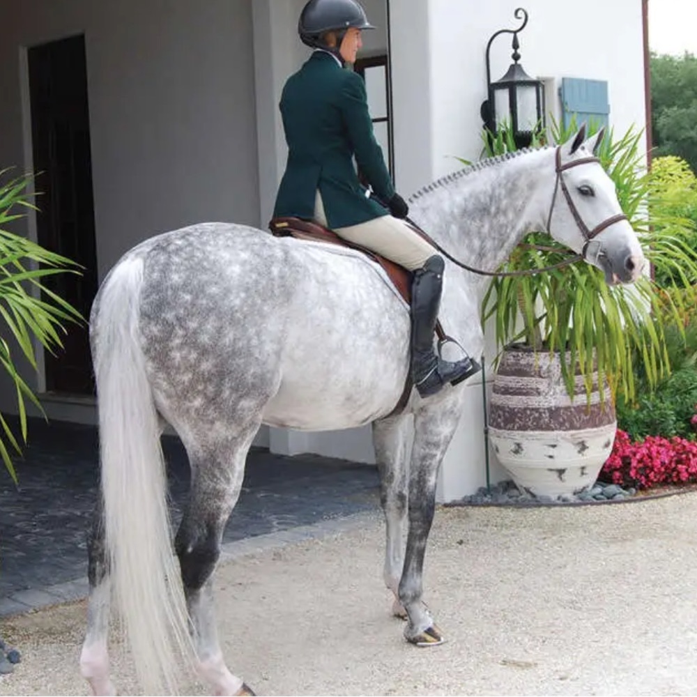 Grand Prix Forest Green Riding Coat